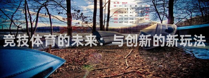 竞技体育的未来：与创新的新玩法
